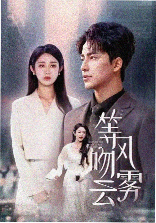 无声之证悬疑小说封面